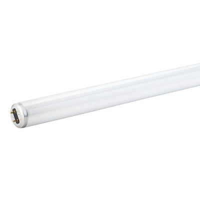 Philips 15-Watt 18 in. Linear T8 Fluorescent Tube Light Bulb Cool White (4100K) - Super Arbor