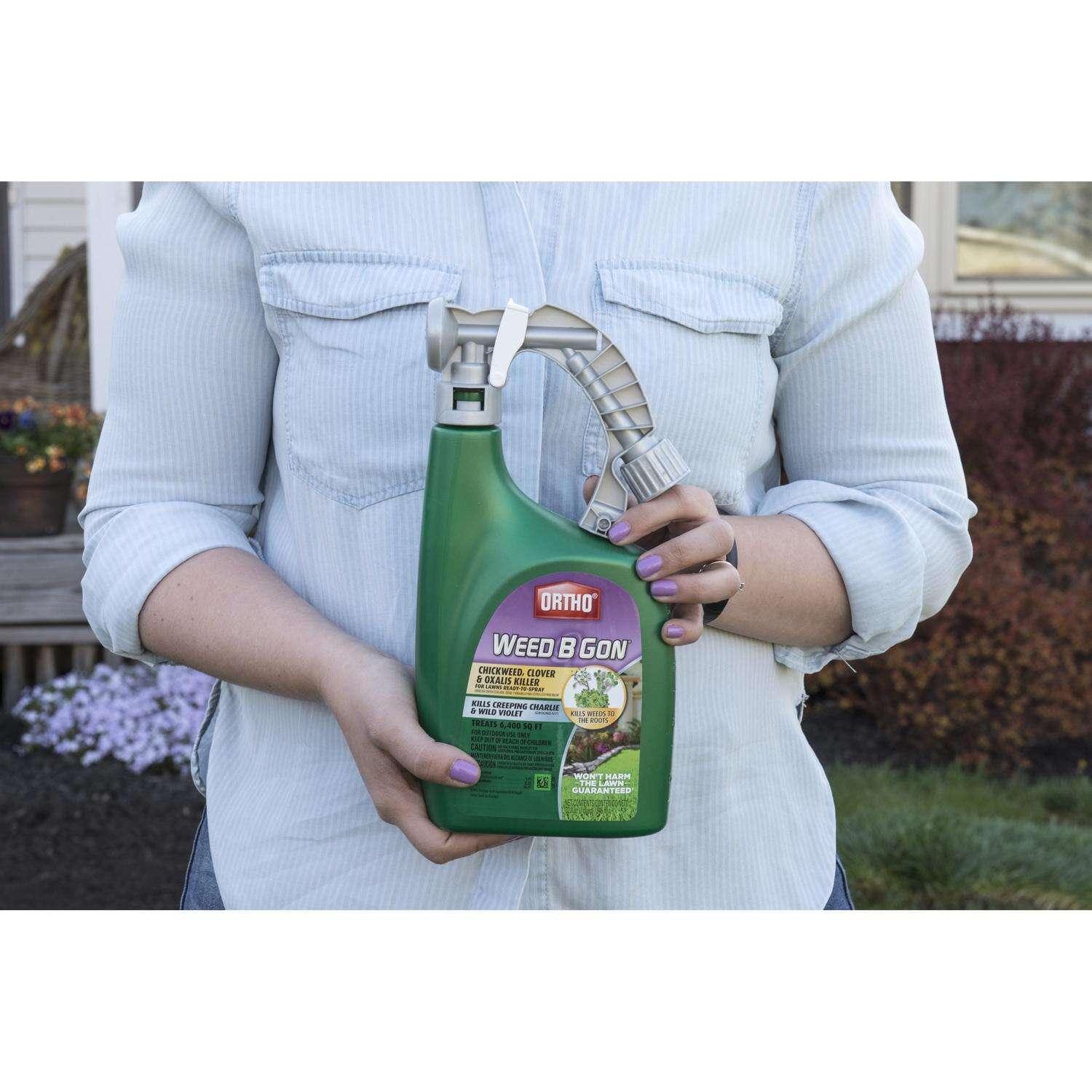 Ortgo Rts A Ortho Weed B Gon Chickweed Killer RTS Hose-End Concentrate 32 oz – PROARB