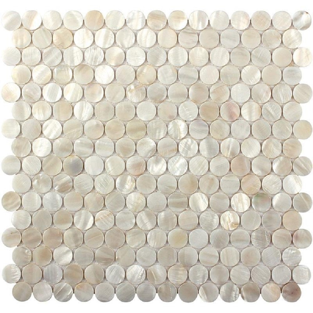 Apollo Tile (Sample) Wall White Natural Shell 4-in x 4-in Polished Mar ...