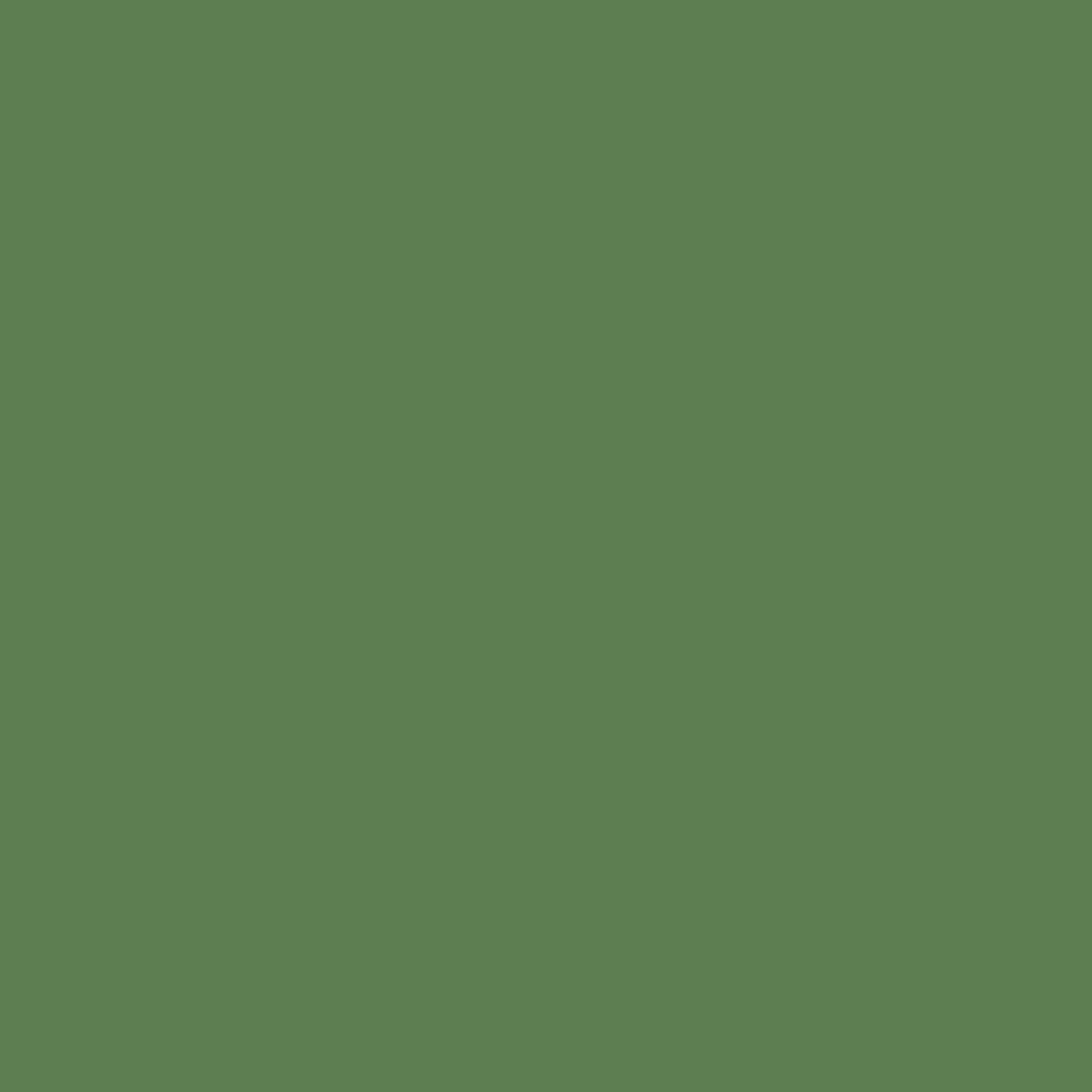 Lucida USA (Sample) MonoCore Chimmichurri Green Solid 22-mil Interlock ...