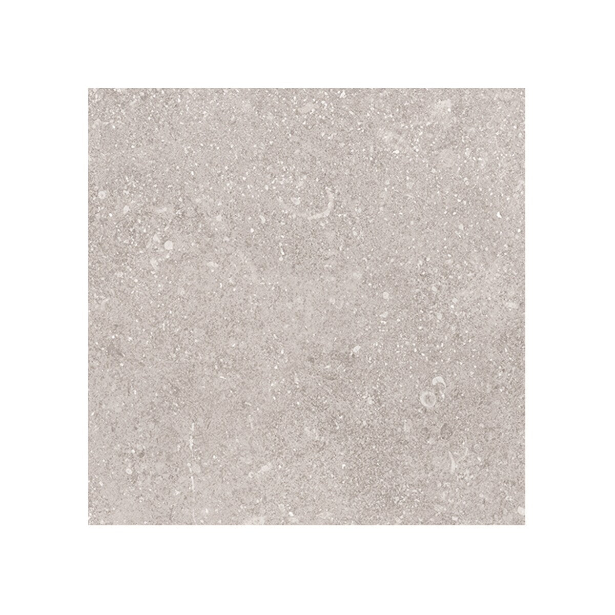 Giorbello (Sample) Ambience Natural Ivory 24-in x 24-in Matte Porcelai ...