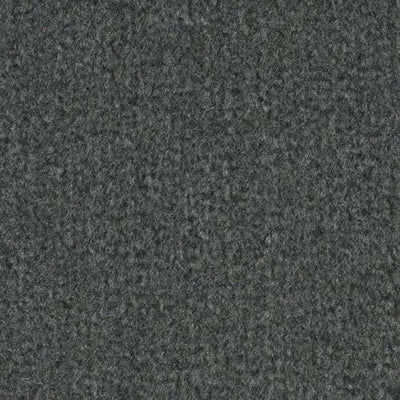 -Daytar Lt Grey Plush Carpet Sample (Interior/Exterior)