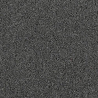 -Daytar Lt Grey Plush Carpet Sample (Interior/Exterior)