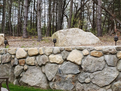 Portfolio 3-Watt Bronze Low Voltage LED Path Light - Super Arbor