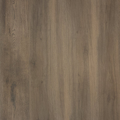 Tupelo Oak 22 MIL x 8.7 in. W x 48 in. L Click Lock Waterproof Luxury Vinyl Plank Flooring (20.06 sqft/case)