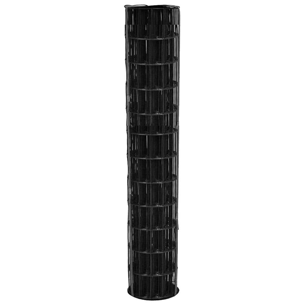 allFENZ 3 ft. x 50 ft. 16-Gauge Black PVC-Coated Welded Wire – PROARB