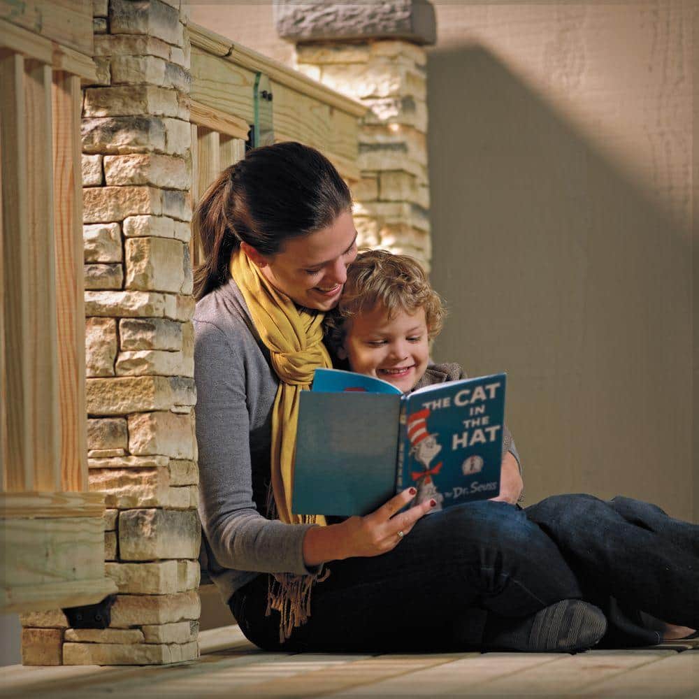 Power Pro Exterior Wood Screws - #8 X 1-1/2 Inch Bronze Deck Screws With T-25 Bit