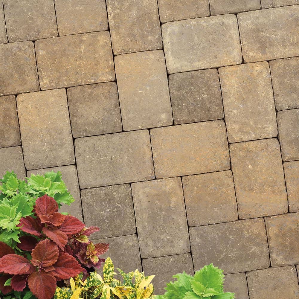 Pavstone Pavestone Plaza 8.27 in. L x 5.51 in. W x 2.36 in. H Rectangular Deser ...