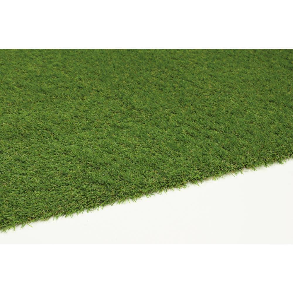 Grass Rug For Library Nance Carpet and Rug Turf 6 ft. x 9 ft. Green Artificial Grass Rug – PROARB