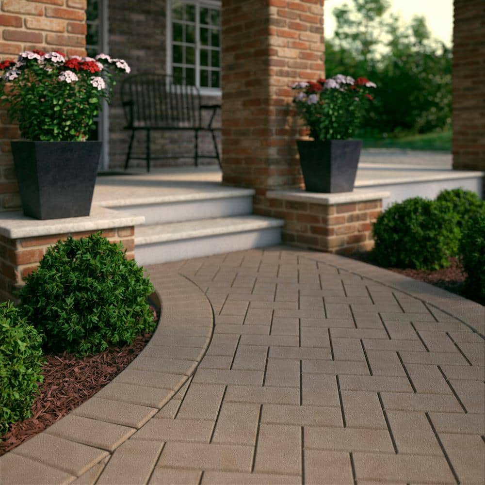 Pavstone Pavestone Holland 7.87 in. L x 3.94 in. W x 36 in. H 60 mm Tan/Brown C ...