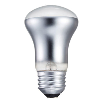 Philips 40-Watt R16 Incandescent Spot Light Bulb Soft White (2700K) - Super Arbor