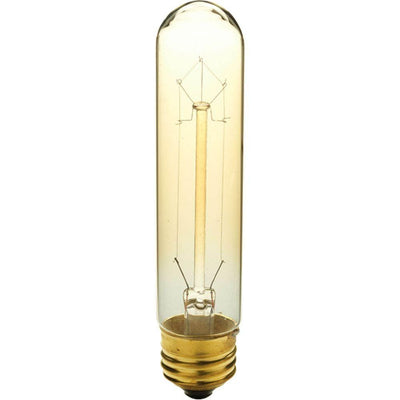Progress Lighting 40-Watt T10 E26 Incandescent Light Bulb Medium Base Vintage Amber Lamp - Super Arbor