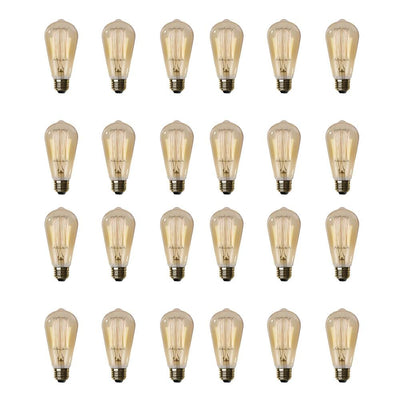 Feit Electric 60-Watt ST19 Dimmable Incandescent Amber Glass Vintage Edison Light Bulb with Cage Filament Soft White (24-Pack) - Super Arbor