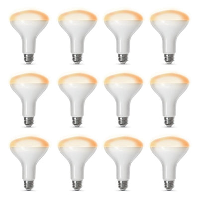 Feit Electric 65-Watt Equivalent Soft White (2700K) BR30 Dimmable Wi-Fi LED Smart Light Bulb (12-Pack) - Super Arbor