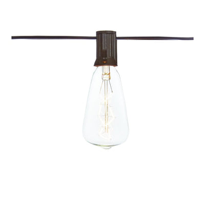 Outdoor/Indoor 10 ft. Light Line Voltage ST40 Vintage Bulb Incandescent String Light (10-Heads) - Super Arbor