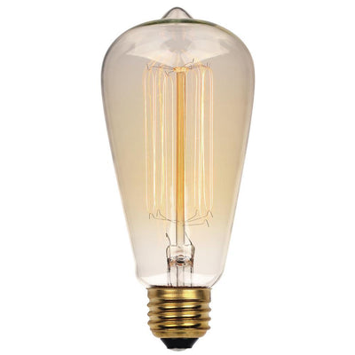 Westinghouse 60-Watt Timeless Vintage Inspired Incandescent ST20 Light Bulb - Super Arbor