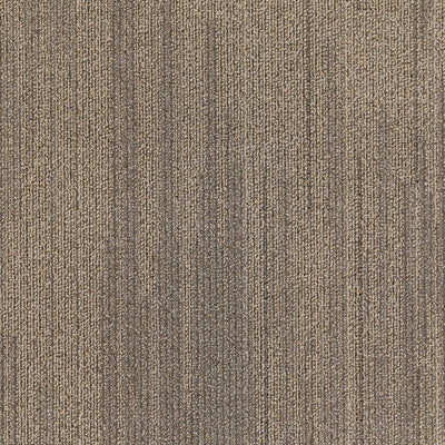 Saltney 24" x 24" (72SF/carton) carpet tile in GLORY DAYS