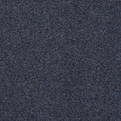 TrafficMASTER Seafront - Color Dark Blue Indoor/Outdoor 6 ft. Marine Texture Carpet