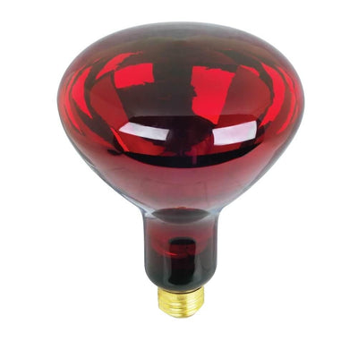 Feit Electric BR40 250-Watt 120-Volt Incandescent Red Heat Lamp Light Bulb - Super Arbor