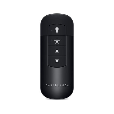 Handheld Glossy Black Indoor Remote Control
