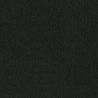 -Daytar Black Plush Carpet Sample (Interior/Exterior)