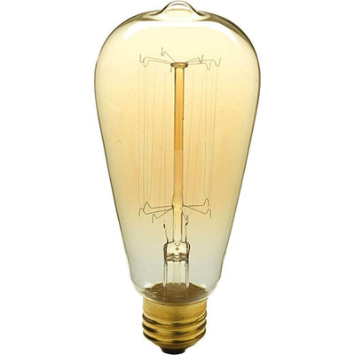 Progress Lighting 40-Watt ST64 Edison E26 Medium Base Vintage Amber Incandescent Light Bulb Warm White - Super Arbor