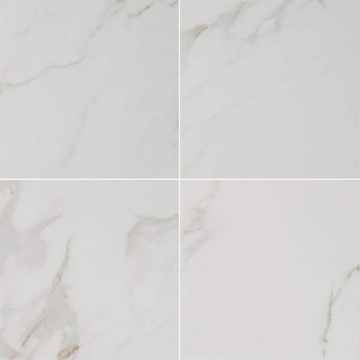 Carrara 24 in. x 24 in. Polished Porcelain Floor and Wall Tile (16 sq. ft. / case) - Super Arbor