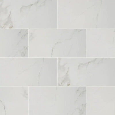 MSI 12 in. x 24 in. Carrara Polished Porcelain Floor and Wall Tile (16 sq. ft./case)