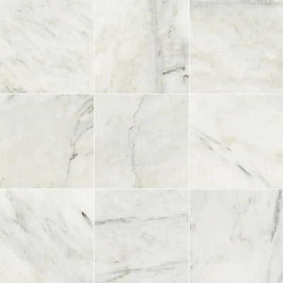 MSI Greecian White 12 in. x 24 in. Polished Marble Floor and Wall Tile (10 sq. ft. / Case)