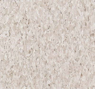Armstrong Flooring Imperial Texture VCT Taupe 45-Piece 12-in x 12-in Commercial Vinyl Tile (45-sq ft/case)
