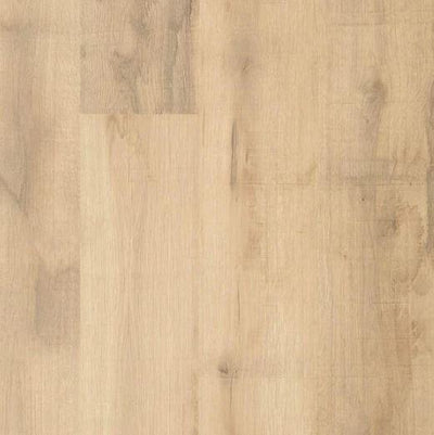 Outlast+ 7.48 in. W Bleached Woodland Oak Waterproof Laminate Wood Flooring (19.63 sq. ft./case) - Super Arbor